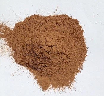 Ginkgo Biloba Extract Powder