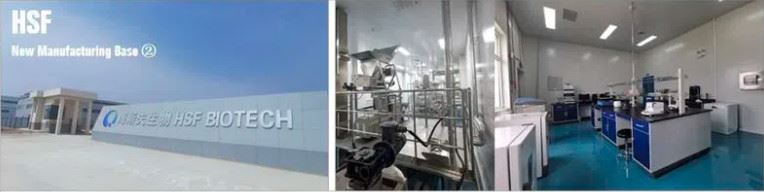 factory