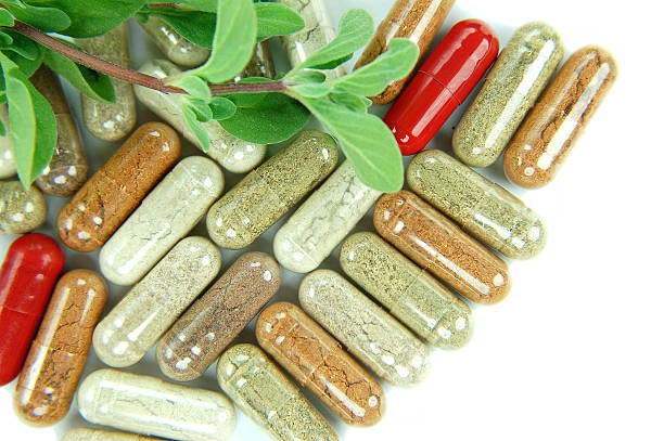 Ginkgo Biloba Powder Capsules Ginkgo Biloba Powder Capsules