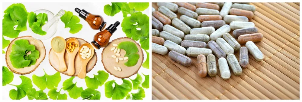 Application of Ginkgo Biloba Powder Application of Ginkgo Biloba Powder