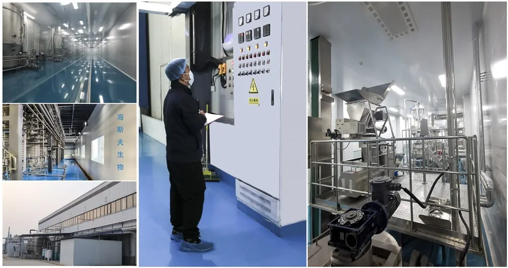 Factory View Factory View