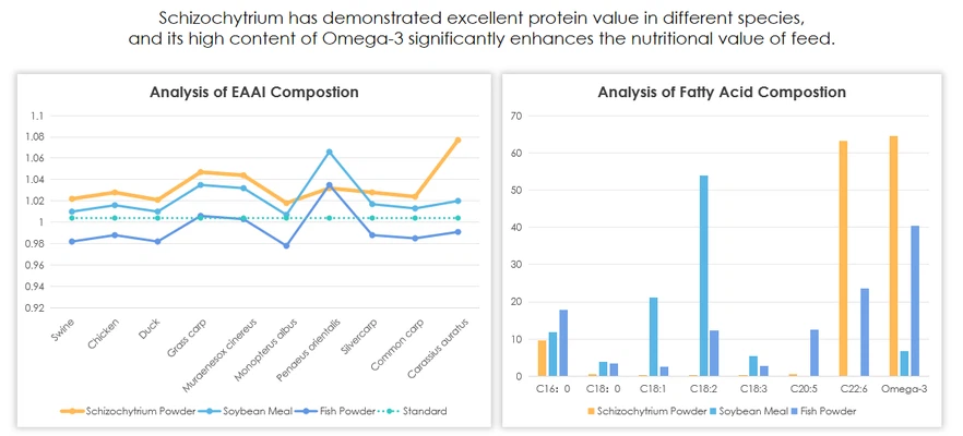 info-1167-529 info-1167-529