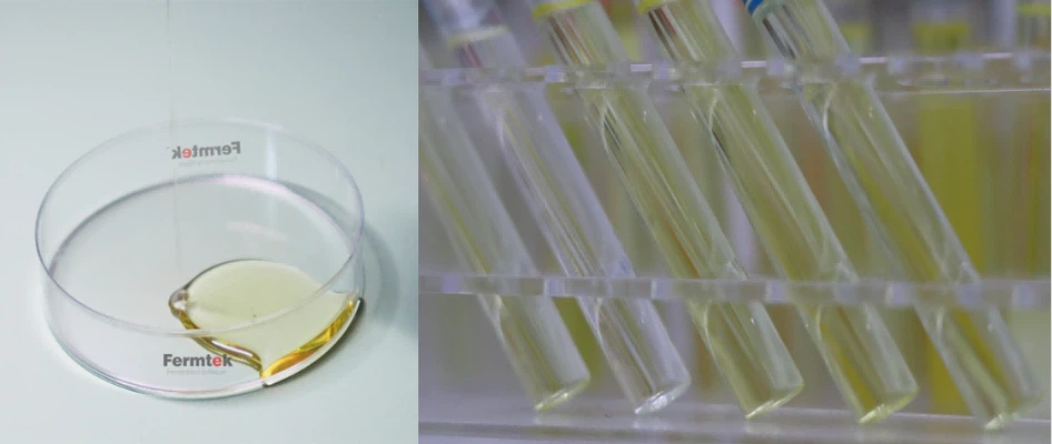 info-958-405 info-958-405