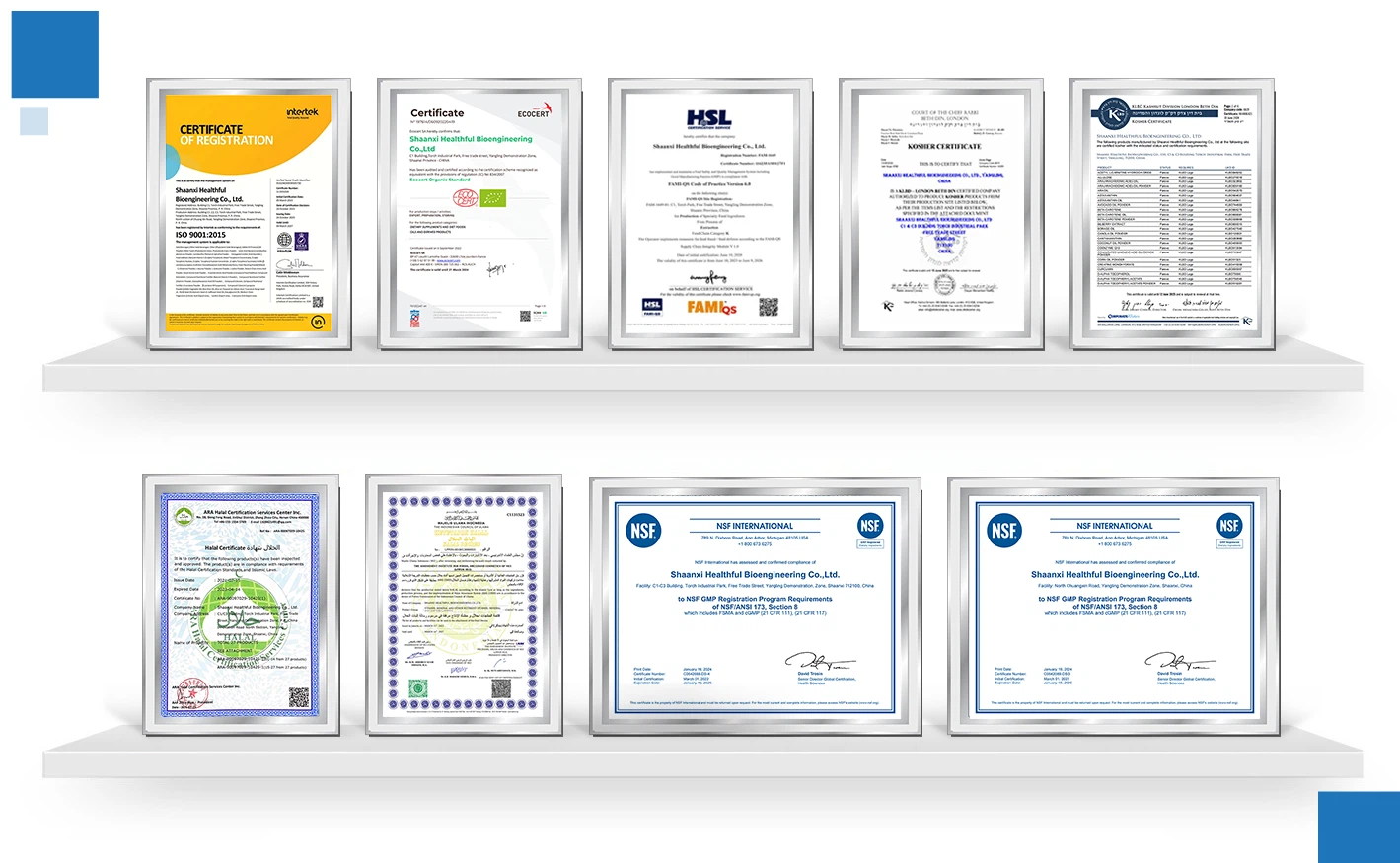 certificate certificate