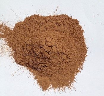 Milleks ginkgo biloba ekstraktipulbrit kasutatakse?