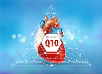 HSF Biotech Coenzyme Q{0}} Südame tervise plaani koostamine